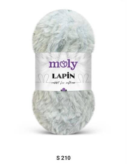Moly Lapin - 1